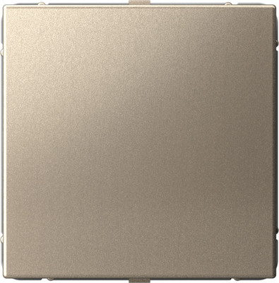 Декоративная заглушка для розетки Systeme (Schneider) Electric ArtGallery GAL000509 