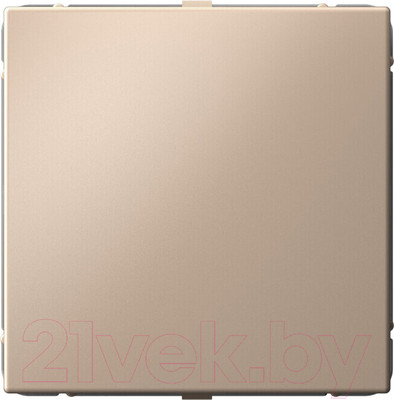 Заглушка для розетки Systeme (Schneider) Electric ArtGallery GAL001209