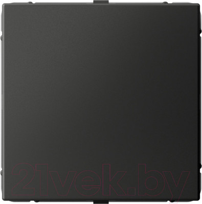 Заглушка для розетки Systeme (Schneider) Electric ArtGallery GAL001409