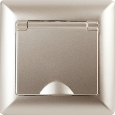 Розетка INTRO Solo 4-203-04 / Б0053660 (шампань)