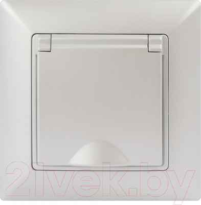 Розетка INTRO Solo 4-203-06 / Б0053662 (перламутр)