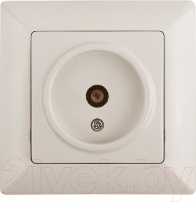 Розетка INTRO Solo 4-301-02 / Б0043369 (слоновая кость)