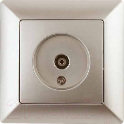 Розетка INTRO Solo 4-301-04 / Б0043371 (шампань)