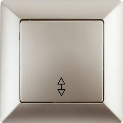 Выключатель INTRO Solo 4-103-04 / Б0053580 (шампань)