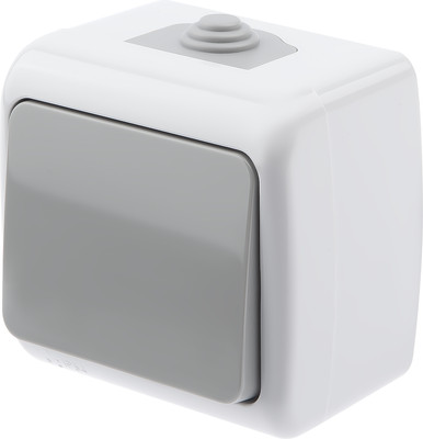 Выключатель INTRO Atlantic 5-101-03 / Б0050940 (серый)