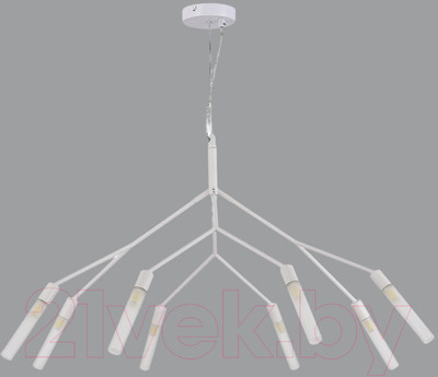 Люстра Evoluce SLE1129-503-08