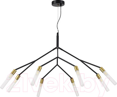 Люстра Evoluce SLE1129-403-08