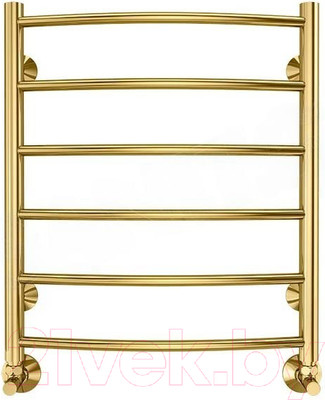 Полотенцесушитель водяной Terminus Классик П6 500x600 (золото)