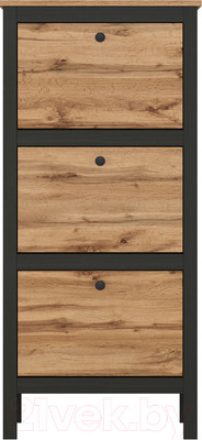 Тумба для обуви Black Red White Loft SFB3B/50 (дуб вотан/черный)