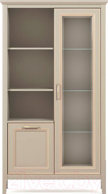 Шкаф с витриной Black Red White Classic REG1W1D (глиняный серый)