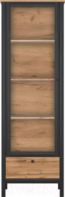 Шкаф с витриной Black Red White Loft REG1W1S (дуб вотан/черный)