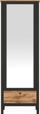 Шкаф Black Red White Loft SZF1W1S/60 (дуб вотан/черный)