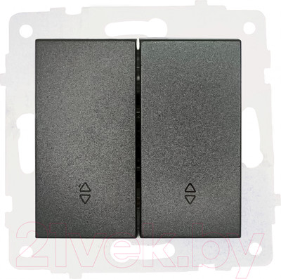 Выключатель Ovivo 600-000211-211 (дымчатый)