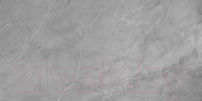 Виниловый пол Aspenfloor SPC Natural Stone XXL Нотр Дам NS5-12