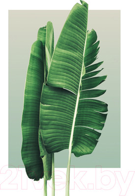 Картина Vimala На холсте 50x70 / Арт 128