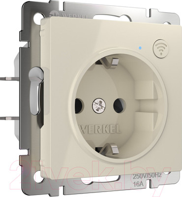 Умная розетка Werkel W1171603 (слоновая кость)