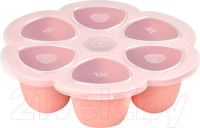Контейнер для детского питания Beaba Old Pink 912615