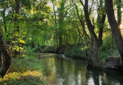 Фотообои листовые Citydecor Природа 93 (200x140см)