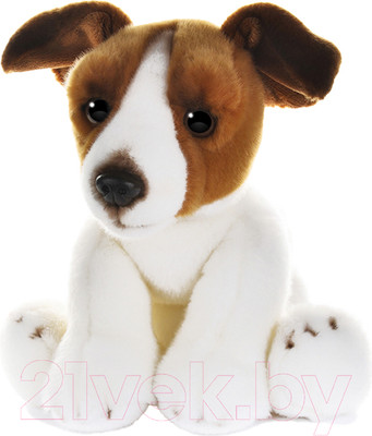 Мягкая игрушка Maxitoys Собака Джек Рассел / MT-TS112306-25