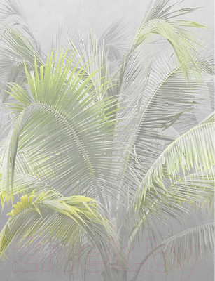 Фотообои листовые Citydecor Знойные тропики 9 (200x260см)