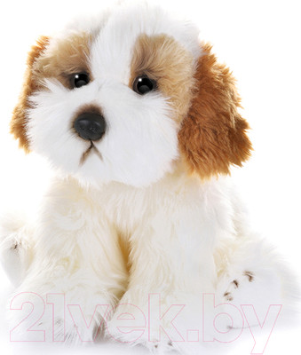 Мягкая игрушка Maxitoys Собака Кавашон / MT-TS112308-25