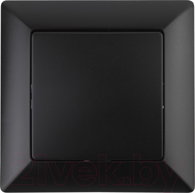 Выключатель INTRO Solo 4-101-05 / Б0053548 (антрацит)