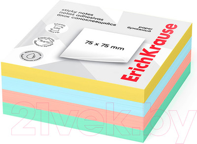 Блок для записей Erich Krause 61669 (4цв)