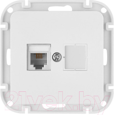 Розетка Bylectrica ТР4-6501