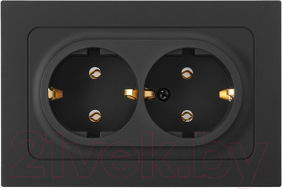 Розетка Bylectrica РС16-0542 (карбон)