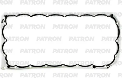 Прокладка двигателя Patron PG4-0063