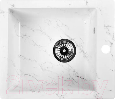 Мойка кухонная Wisent WA10-10 (с сифоном GER013)