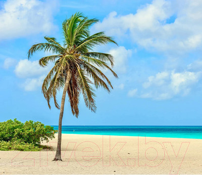 Фотообои листовые Citydecor Море и Водопады 46 (300x260см)