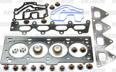 Комплект прокладок двигателя Patron PG1-2004 