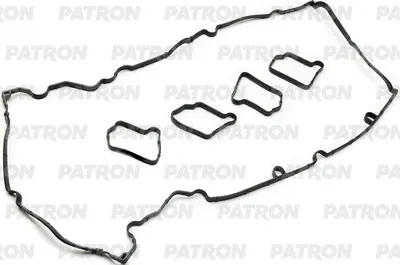 Комплект прокладок двигателя Patron PG1-6110