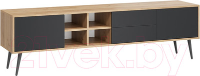 Тумба ТриЯ Тип 5 с опорами (дуб крафт золотой/антрацит)