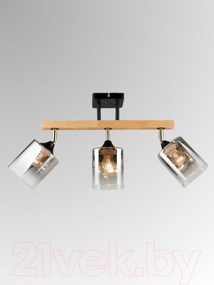 Спот Aitin-Pro НПБ 02-3x60-101 / N5280/3 (черный/дерево)