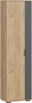 Шкаф ТриЯ Эвита для одежды Тип 1 (дуб крафт золотой/графит серый)
