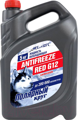 Антифриз Полярный круг G12 / 002001001011 (5кг, красный)