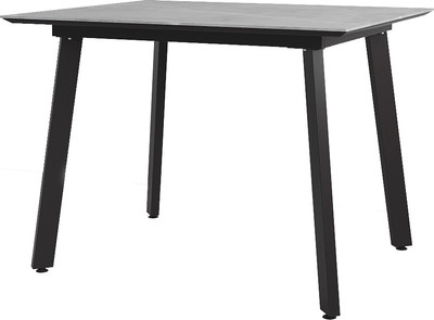 Обеденный стол ДСВ Граф 100x80 (серый)