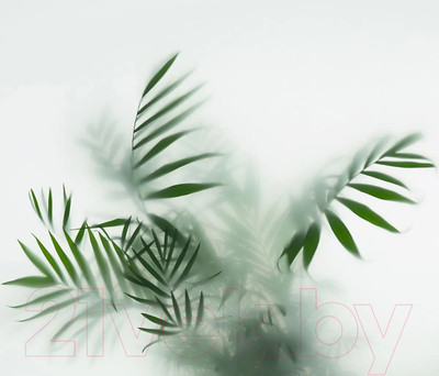 Фотообои листовые Citydecor Цветы и Растения 155 (300x260см)