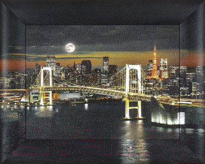 Картина Декарт Ночной Нью-Йорк 8Л2377 (в раме)