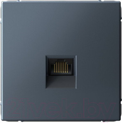 Розетка Systeme (Schneider) Electric ArtGallery GAL000786