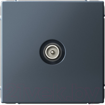 Розетка Systeme (Schneider) Electric ArtGallery GAL000791
