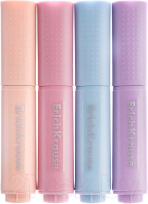 Набор маркеров Erich Krause Visioline V-17 Mini Flex Manga / 60816 (4шт)