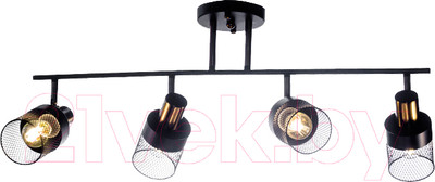 Спот Aitin-Pro НПБ 02-4x60-101 / N6239/4 (черный/бронза)