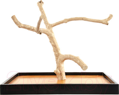 Игровая площадка для птиц Coffee Wood Кофейное дерево / TABLETOP/CW-M