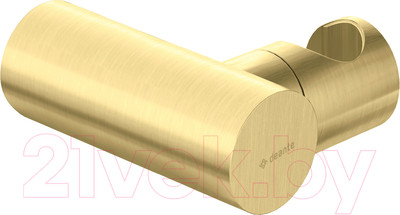 Душевой держатель Deante Round Gold ANR_R21U (брашированное золото)