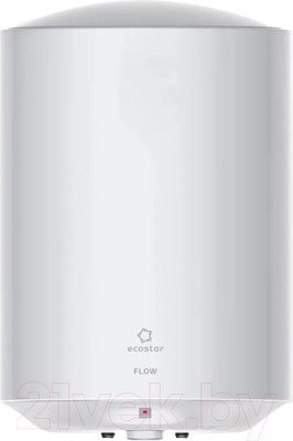 Накопительный водонагреватель EcoStar EWH-F100-RE