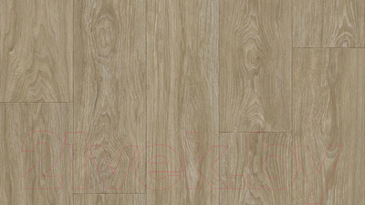 Линолеум Tarkett Club Maximus 2 (1.5x3м)