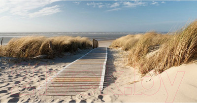 Фотообои листовые Citydecor Природа 13 (500x260см)